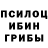 Псилоцибиновые грибы Psilocybine cubensis Abhishek Ogale