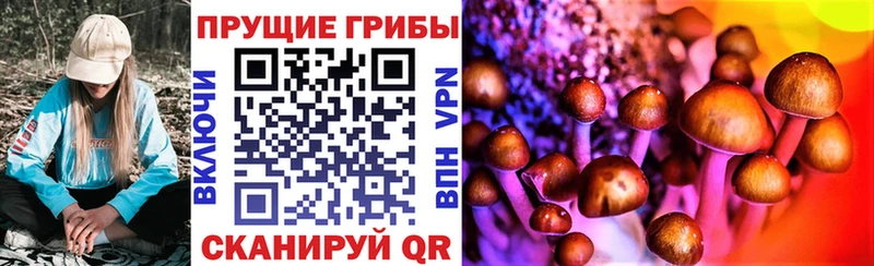 дарнет шоп  Иваново  Галлюциногенные грибы Cubensis 