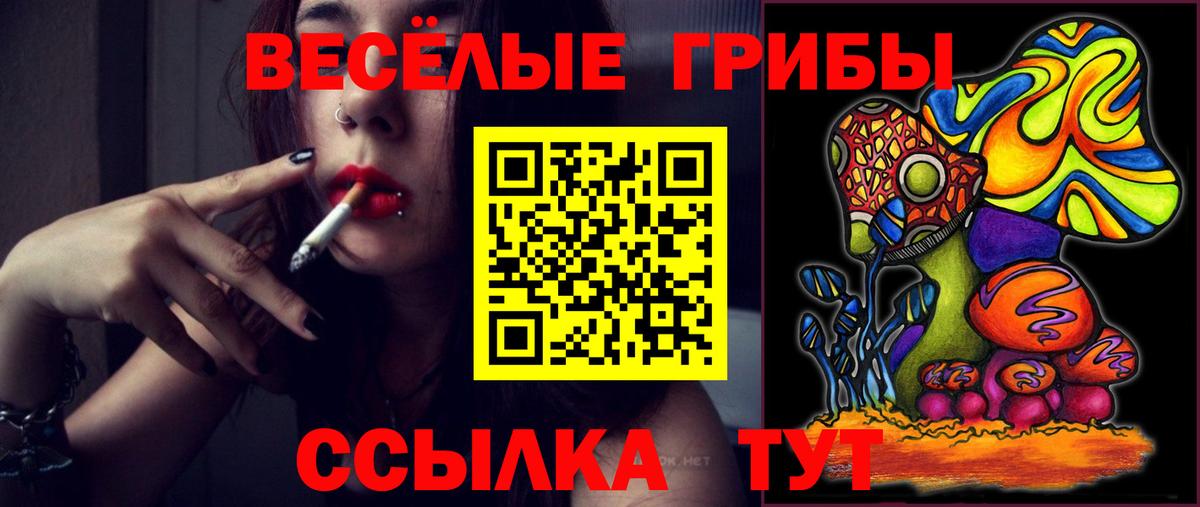 Иваново  где купить наркотик  Вход с VPN  Псилоцибиновые грибы ЛСД  Псилоцибиновые грибы Psilocybine cubensis 